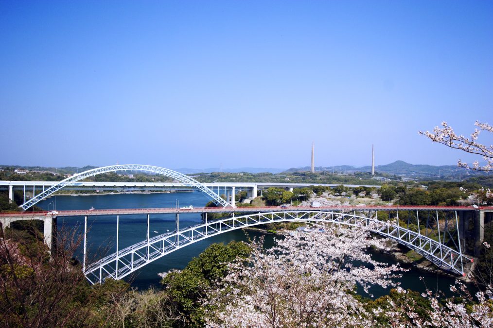 西海橋公園と大村公園の桜